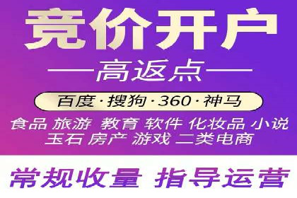 SEM服务公司助力电商增长案例