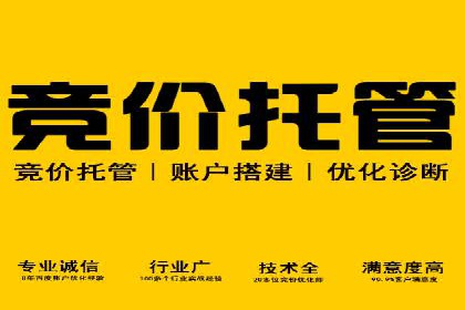 某电商平台的SEM推广策略分析